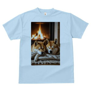 Č TVc fB[X t@  t  vg JWA 킢 lԗp h ̃fUC ʔ gF Č  ѕz g