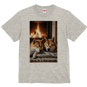 Č TVc fB[X t@  t  vg JWA 킢 lԗp h ̃fUC ʔ gF Č  ѕz g