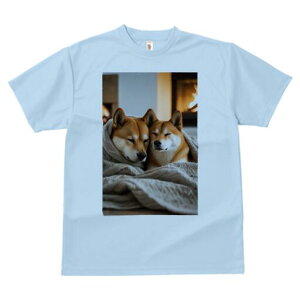 Č TVc fB[X t@  t  vg JWA 킢 lԗp h ̃fUC ʔ gF Č uPbg  