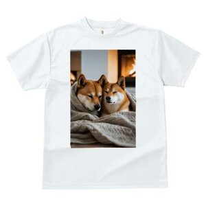 Č TVc fB[X t@  t  vg JWA 킢 lԗp h ̃fUC ʔ gF Č uPbg  