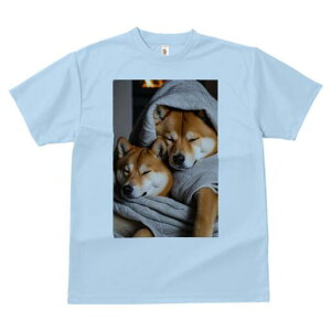 Č TVc fB[X t@  t  vg JWA 킢 lԗp h ̃fUC ʔ ѕz Č gF