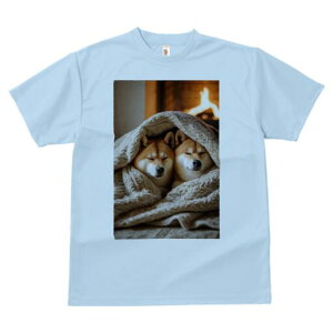 Č TVc fB[X t@  t  vg JWA 킢 lԗp h ̃fUC ʔ ѕz Č gF