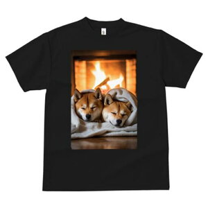 Č TVc fB[X t@  t  vg JWA 킢 lԗp h ̃fUC ʔ gF Č ѕz  g