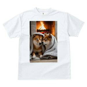 Č TVc fB[X t@  t  vg JWA 킢 lԗp h ̃fUC ʔ gF Č ѕz  