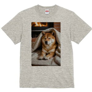 Č TVc fB[X t@  t  vg JWA 킢 lԗp h ̃fUC ʔ gF Č ѕz x bNX