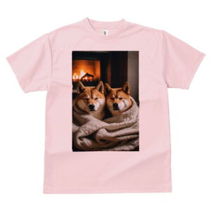 Č TVc fB[X t@  t  vg JWA 킢 lԗp h ̃fUC ʔ gF Č uPbg g bNX