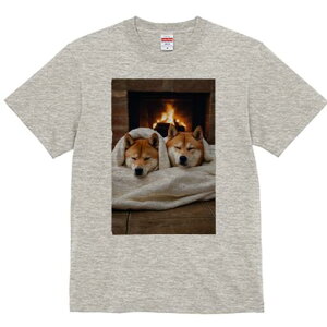 柴犬 Tシャツ レディース 犬ファン 半袖 春夏 犬柄 プリント カジュアル かわいい 人間用 個性派 ここだけのデザイン 面白 暖炉 柴犬 毛布 冬 癒し