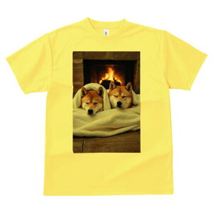 Č TVc fB[X t@  t  vg JWA 킢 lԗp h ̃fUC ʔ gF Č ѕz ~ 