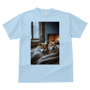 Č TVc fB[X t@  t  vg JWA 킢 lԗp h ̃fUC ʔ gF Č ѕz ~ 