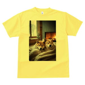 Č TVc fB[X t@  t  vg JWA 킢 lԗp h ̃fUC ʔ gF Č ѕz ~ 