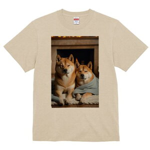 Č TVc fB[X t@  t  vg JWA 킢 lԗp h ̃fUC ʔ gF Č ѕz J[ybg