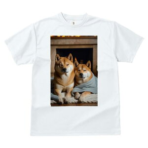 Č TVc fB[X t@  t  vg JWA 킢 lԗp h ̃fUC ʔ gF Č ѕz J[ybg