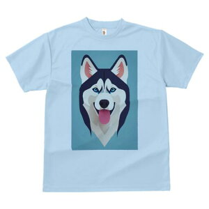 VxAnXL[ TVc fB[X t@  t  vg JWA 킢 lԗp h ̃fUC ʔ VxAnXL[