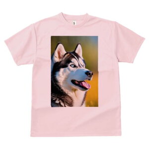 VxAnXL[ TVc fB[X t@  t  vg JWA 킢 lԗp h ̃fUC ʔ VxAnXL[