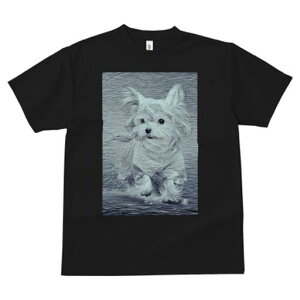 }`[Y TVc fB[X t@  t  vg JWA 킢 lԗp h ̃fUC ʔ }`[Y