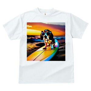 r[O TVc fB[X t@  t  vg JWA 킢 lԗp h ̃fUC ʔ TOX r[O T[t{[h C [Ă