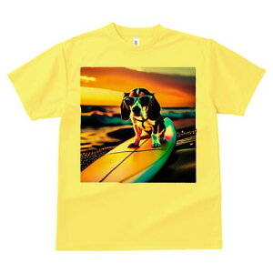 r[O TVc fB[X t@  t  vg JWA 킢 lԗp h ̃fUC ʔ TOX r[O T[t{[h C [Ă