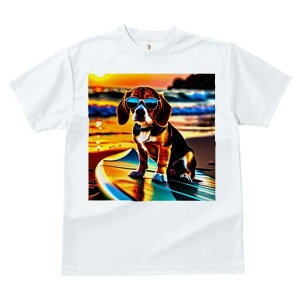 r[O TVc fB[X t@  t  vg JWA 킢 lԗp h ̃fUC ʔ r[` r[O T[t{[h C [Ă