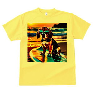 r[O TVc fB[X t@  t  vg JWA 킢 lԗp h ̃fUC ʔ r[` r[O T[t{[h C [Ă