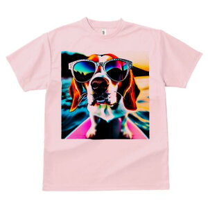 r[O TVc fB[X t@  t  vg JWA 킢 lԗp h ̃fUC ʔ TOX r[O T[tB