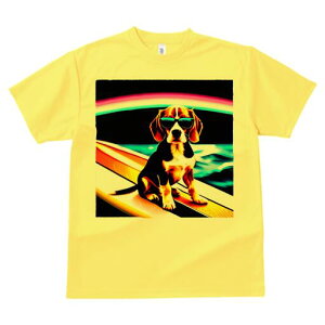 r[O TVc fB[X t@  t  vg JWA 킢 lԗp h ̃fUC ʔ TOX r[O T[t{[h C 