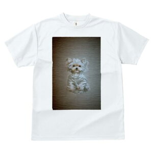 }`[Y TVc fB[X t@  t  vg JWA 킢 lԗp h ̃fUC ʔ }`[Y