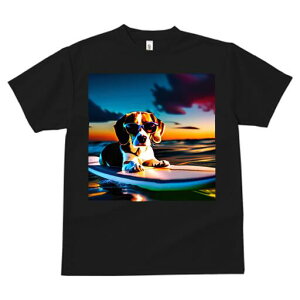 r[O TVc fB[X t@  t  vg JWA 킢 lԗp h ̃fUC ʔ T[tB r[O C [Ă TOX