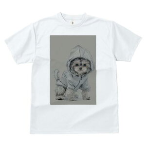 [NV[eA TVc fB[X t@  t  vg JWA 킢 lԗp h ̃fUC ʔ CR[g [NV[eA t[h