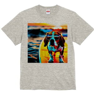 r[O TVc fB[X t@  t  vg JWA 킢 lԗp h ̃fUC ʔ TOX r[O T[t{[h C [