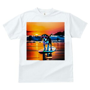 r[O TVc Y LbY t@  t  vg JWA 킢 lԗp h ̃fUC ʔ TOX r[O T[tB C [