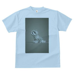 }`[Y TVc fB[X t@  t  vg JWA 킢 lԗp h ̃fUC ʔ CR[g }`[Y