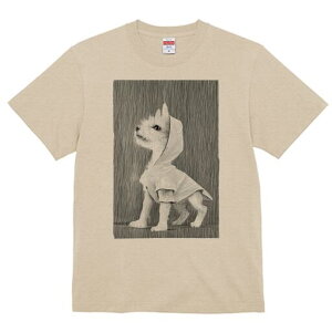 EGXgnChzCgeA TVc fB[X t@  t  vg JWA 킢 lԗp h ̃fUC ʔ CR[g EGXgnChz