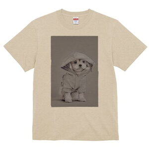 }`[Y TVc fB[X t@  t  vg JWA 킢 lԗp h ̃fUC ʔ t[htWPbg }`[Y