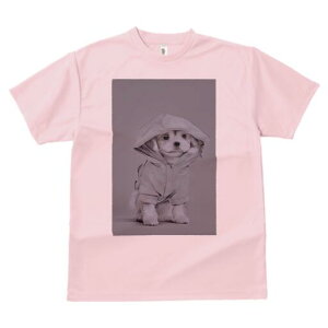 }`[Y TVc fB[X t@  t  vg JWA 킢 lԗp h ̃fUC ʔ t[htWPbg }`[Y