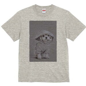 }`[Y TVc fB[X t@  t  vg JWA 킢 lԗp h ̃fUC ʔ t[htWPbg }`[Y