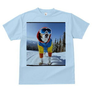 r[O TVc Y LbY t@  t  vg JWA 킢 lԗp h ̃fUC ʔ XL[ r[O ~ R XL[EFA