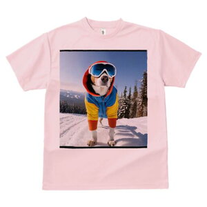 r[O TVc fB[X t@  t  vg JWA 킢 lԗp h ̃fUC ʔ XL[ r[O ~ R XL[EFA