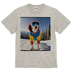 r[O TVc fB[X t@  t  vg JWA 킢 lԗp h ̃fUC ʔ XL[ r[O ~ R XL[EFA