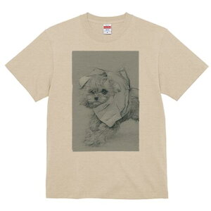 }`[Y TVc fB[X t@  t  vg JWA 킢 lԗp h ̃fUC ʔ }`[Y