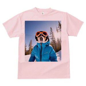 r[O TVc fB[X t@  t  vg JWA 킢 lԗp h ̃fUC ʔ XL[ r[O XL[EFA S[O ~