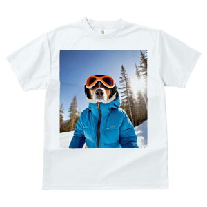 r[O TVc fB[X t@  t  vg JWA 킢 lԗp h ̃fUC ʔ XL[ r[O XL[EFA S[O ~