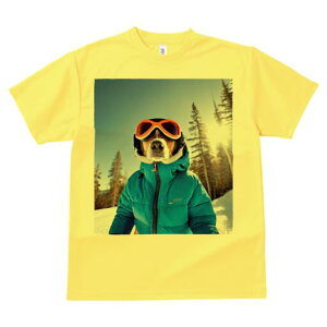 r[O TVc fB[X t@  t  vg JWA 킢 lԗp h ̃fUC ʔ XL[ r[O XL[EFA S[O ~