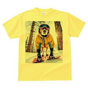 r[O TVc fB[X t@  t  vg JWA 킢 lԗp h ̃fUC ʔ XL[ r[O XL[EFA ~ 