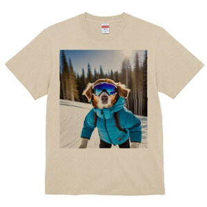 S[fg[o[ TVc fB[X t@  t  vg JWA 킢 lԗp h ̃fUC ʔ XL[ S[fg[o[ XL[EFA 