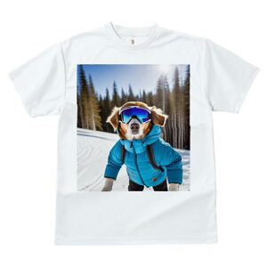 S[fg[o[ TVc fB[X t@  t  vg JWA 킢 lԗp h ̃fUC ʔ XL[ S[fg[o[ XL[EFA 