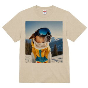 r[O TVc fB[X t@  t  vg JWA 킢 lԗp h ̃fUC ʔ XL[ r[O XL[EFA S[O R