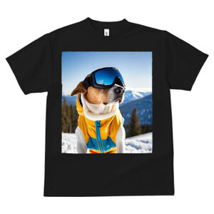 r[O TVc fB[X t@  t  vg JWA 킢 lԗp h ̃fUC ʔ XL[ r[O XL[EFA S[O R