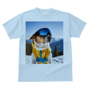 r[O TVc fB[X t@  t  vg JWA 킢 lԗp h ̃fUC ʔ XL[ r[O XL[EFA S[O R