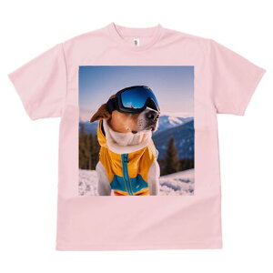 r[O TVc Y LbY t@  t  vg JWA 킢 lԗp h ̃fUC ʔ XL[ r[O XL[EFA S[O R