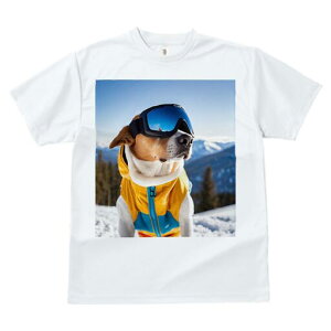 r[O TVc Y LbY t@  t  vg JWA 킢 lԗp h ̃fUC ʔ XL[ r[O XL[EFA S[O R